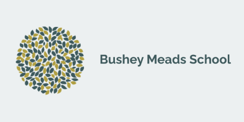 Bushey Meads School